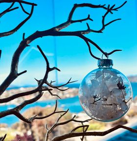 Dried and Preserved Glass Bauble - Small