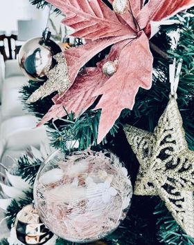 Dried and Preserved Glass Bauble - Medium