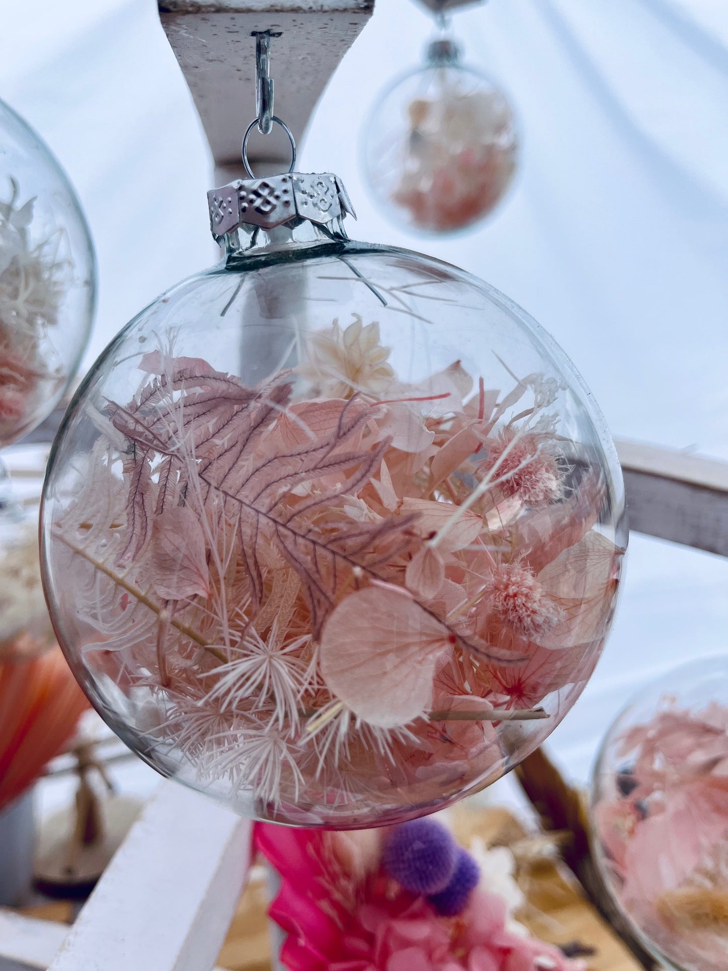 Dried and Preserved Glass Bauble - Large