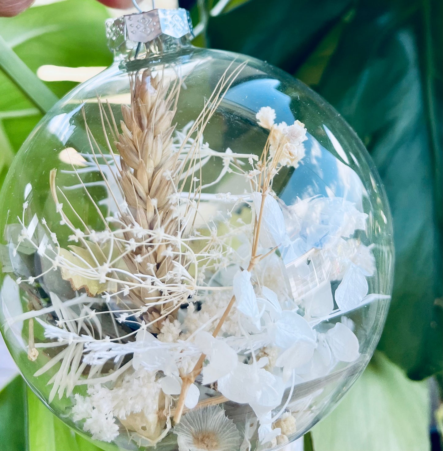 Dried and Preserved Glass Bauble - Large