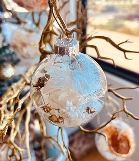 Dried and Preserved Glass Bauble - Small